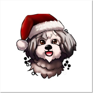 Cute Havanese Drawing Posters and Art